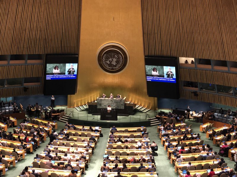 VOSAP attends COSP12 at United Nations
